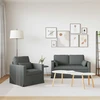 Sofa 2 pcs Tamsiai pilka Metalas
