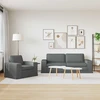 Sofa 2 pcs Tamsiai pilka Metalas