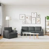 Sofa 2 pcs Tamsiai pilka Metalas
