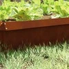 Sraigių tvora 4 pcs Rūdijanti 100 x 3,5 x 25 cm