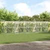 Šunų narvas 4 vnt. Sidabrinė 8 x 2 x 2 m Galvanizuotas plienas