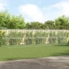 Šunų narvas 4 vnt. Sidabrinė 8 x 2 x 2 m Galvanizuotas plienas