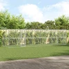 Šunų narvas 4 vnt. Sidabrinė 8 x 2 x 2 m Galvanizuotas plienas