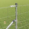 Suvirintas vielinis tvoras su smailiais galais 50 x 1 m