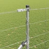 Suvirintas vielinis tvoras su smailiais galais 25 x 1,4 m