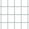 Euro tvora su smeigėmis 10 x 0,6 m PVC dengtas plienas Žalia