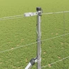 Suvirintas vielinis tvoras su smailiais galais 50 x 1,4 m