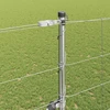 Suvirintas vielinis tvoras su smailiais galais 50 x 1,5 m