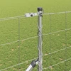 Suvirintas vielinis tvoras su smailiais galais 25 x 1,4 m