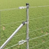 Suvirintas vielinis tvoras su smailiais galais 50 x 0,8 m