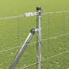 Suvirintas vielinis tvoras su smailiais galais 25 x 1,6 m