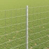 Euro tvoros su stulpu 10 x 1,5 m Galvanizuotas plienas
