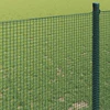Suvirinto vielos tvoros 5000 x 100 cm Žalia