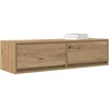 TV staliukas Televizoriaus spintelė 100 x 31 x 25,5 cm artisano ąžuolo