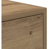 TV staliukas Televizoriaus spintelė 100 x 31 x 25,5 cm artisano ąžuolo