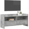 TV staliukas Televizoriaus spintelė 100 x 33 x 47 cm Betono pilka
