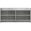TV staliukas Televizoriaus spintelė 100 x 33 x 47 cm Betono pilka