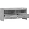 TV staliukas Televizoriaus spintelė 100 x 33 x 47 cm Pilka Sonoma