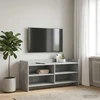 TV staliukas Televizoriaus spintelė 100 x 33 x 47 cm Betono pilka