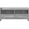TV staliukas Televizoriaus spintelė 100 x 33 x 47 cm Pilka Sonoma