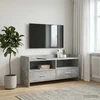 TV staliukas Televizoriaus spintelė 100 x 33 x 47 cm Betono pilka