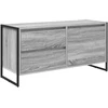 TV staliukas Televizoriaus spintelė 100 x 36 x 49.5 cm Pilkas Sonoma