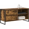 TV staliukas Televizoriaus spintelė 100 x 36 x 49,5 cm Dūminis ąžuolas