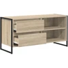 TV staliukas Televizoriaus spintelė 100 x 36 x 49,5 cm Sonoma ąžuolas