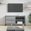 TV staliukas Televizoriaus spintelė 100 x 36 x 49,5 cm Pilka Sonoma