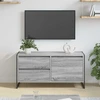 TV staliukas Televizoriaus spintelė 100 x 36 x 49.5 cm Pilkas Sonoma