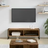 TV staliukas Televizoriaus spintelė 100 x 36.5 x 30.5 cm Senovinis medis