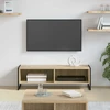TV staliukas Televizoriaus spintelė 100 x 36.5 x 30.5 cm Sonoma