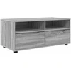 TV staliukas Televizoriaus spintelė 100 x 48 x 43 cm Pilkas Sonoma
