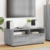 TV staliukas Televizoriaus spintelė 100 x 48 x 43 cm Pilkas Sonoma