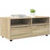TV staliukas Televizoriaus spintelė 100 x 48 x 43 cm Sonoma ąžuolas