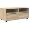 TV staliukas Televizoriaus spintelė 100 x 48 x 43 cm Sonoma ąžuolas