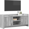 TV staliukas Televizoriaus spintelė 102 x 33 x 47 cm Pilka Sonoma