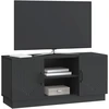 TV staliukas Televizoriaus spintelė 102 x 34,5 x 47 cm Juoda