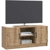 TV staliukas Televizoriaus spintelė 102 x 34,5 x 47 cm Artisano ąžuolo