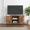 TV staliukas Televizoriaus spintelė 102 x 34,5 x 50 cm Sendintos medienos