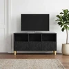 TV staliukas Televizoriaus spintelė 102 x 34,5 x 50 cm Juoda