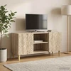 TV staliukas Televizoriaus spintelė 102 x 34,5 x 50 cm Sonoma ąžuolas