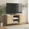 TV staliukas Televizoriaus spintelė 102 x 34,5 x 50 cm Sonoma ąžuolas