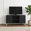 TV staliukas Televizoriaus spintelė 102 x 34,5 x 50 cm Juoda