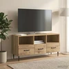 TV staliukas Televizoriaus spintelė 102 x 34,5 x 50 cm Artisano ąžuolo
