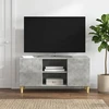 TV staliukas Televizoriaus spintelė 102 x 34,5 x 50 cm Betono pilka