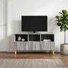 TV staliukas Televizoriaus spintelė 102 x 34,5 x 50 cm Pilka Sonoma