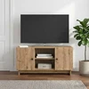 TV staliukas Televizoriaus spintelė 102 x 34,5 x 50 cm Artisano ąžuolo