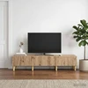 TV staliukas Televizoriaus spintelė 147 x 34,5 x 30 cm Artisano ąžuolo