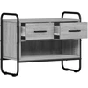 TV staliukas Televizoriaus spintelė 60 x 30 x 50 cm Pilka Sonoma
